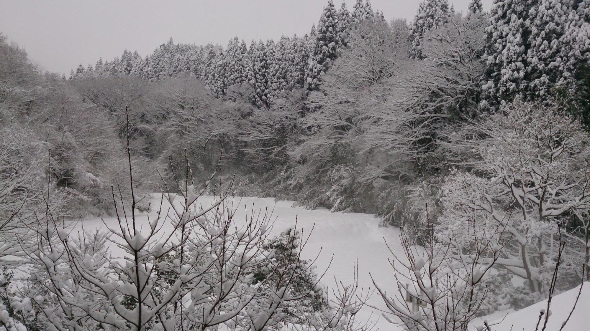 Kurokawa Onsen Ryokan Ichinoi Minamioguni Dış mekan fotoğraf